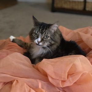 Meet your Posher, Madeline